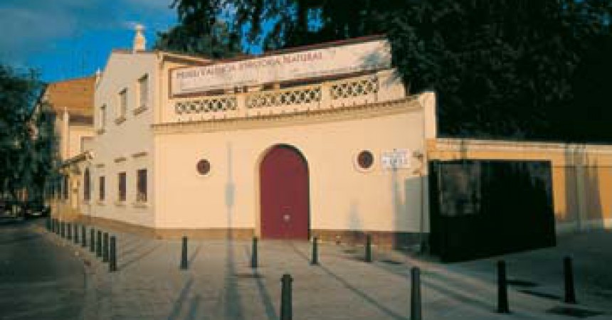 Els impagaments de les administracions fan tancar el Museu Valencià d’Història Natural