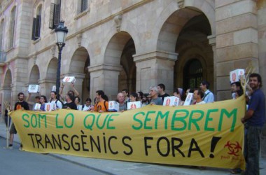 El debat sobre els antitransgènics arriba al Parlament de Catalunya