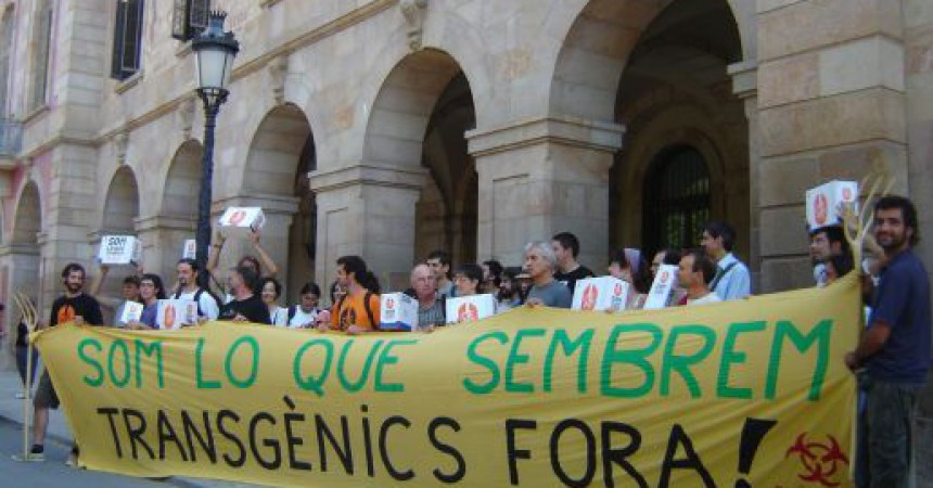 El debat sobre els antitransgènics arriba al Parlament de Catalunya