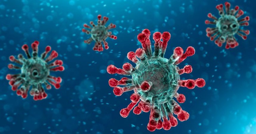 Coronavirus: l’agronegoci cria una altra epidèmia mortal